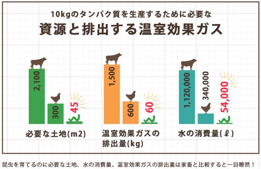 牛と鶏と昆虫を育てるのに必要な「必要な土地・温室ガスの排出量・水の消費量」の比較表